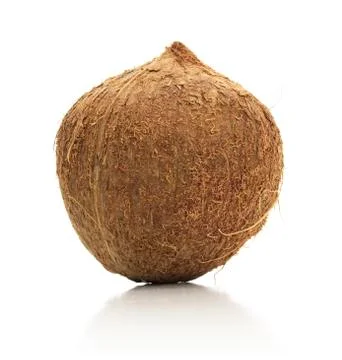 Isolated Coconut Stock Photos