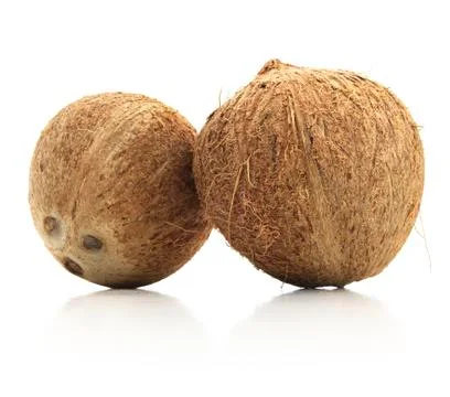 Isolated Coconuts Fotos de archivo