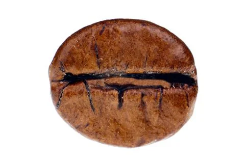 Isolated coffee bean Stock Photos