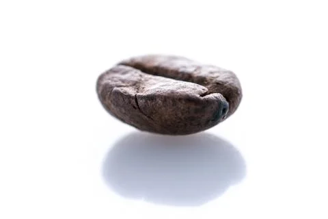 Isolated coffee bean Stock Photos