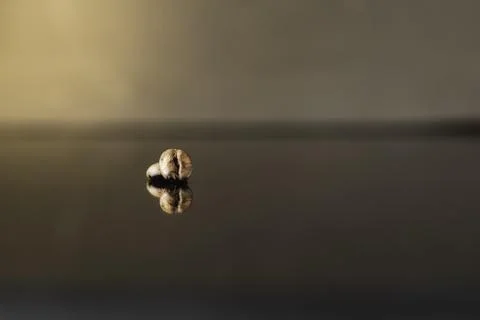 Isolated coffee beans reflected on surface for luxury sensation. Stock Photos