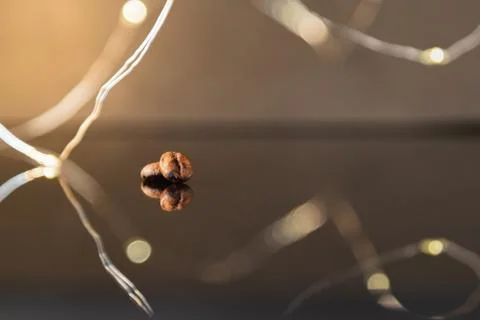 Isolated coffee beans reflected on surface for luxury sensation. Stock Photos