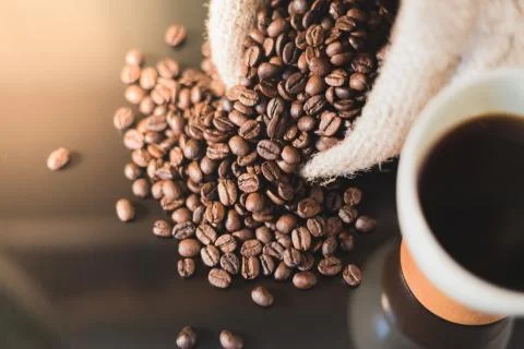 Isolated coffee beans reflected on surface for luxury sensation. Foto stock