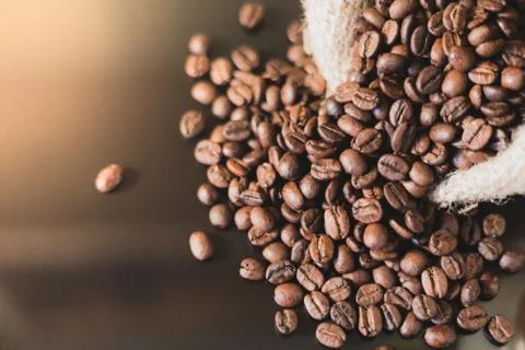 Isolated coffee beans reflected on surface for luxury sensation. Stock Photos
