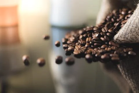 Isolated coffee beans reflected on surface for luxury sensation. Stock Photos