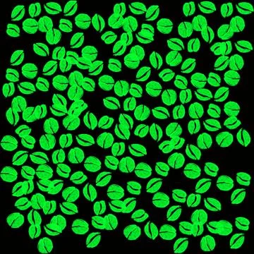 Isolated coffee green beans 스톡 일러스트