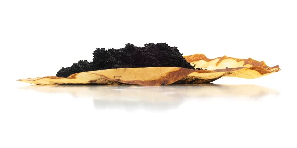 Isolated Coffee Grounds Brewed Filter Foto stock