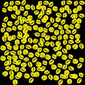 Isolated coffee yellow beans Stock Illustration