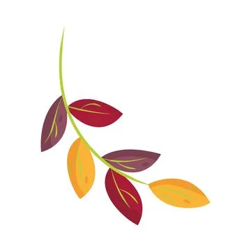 Isolated colored autumn leaf icon Vector Stock Illustration