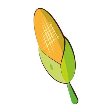 Isolated colored corn icon Flat design Vector Stock Illustration