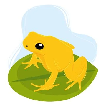 Isolated colored cute toad animal Vector Stockillustratie