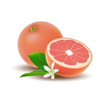 Isolated colored group of grapefruits, half and whole juicy fruit with white  Stock Illustration