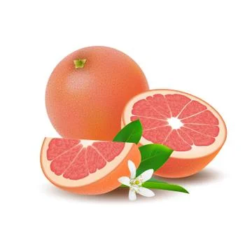 Isolated colored group of grapefruits, slice, half and whole juicy fruit with Stock Illustration