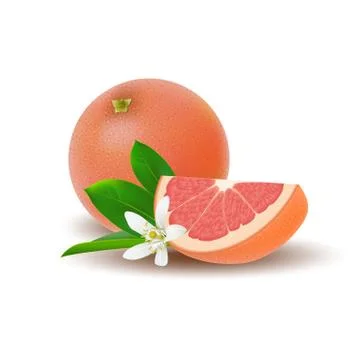 Isolated colored group of grapefruits, slice and whole juicy fruit with white Stock Illustration