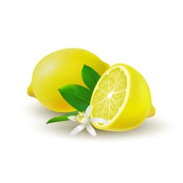 Isolated colored group of lemons, half and whole juicy fruit with green leave Stock Illustration