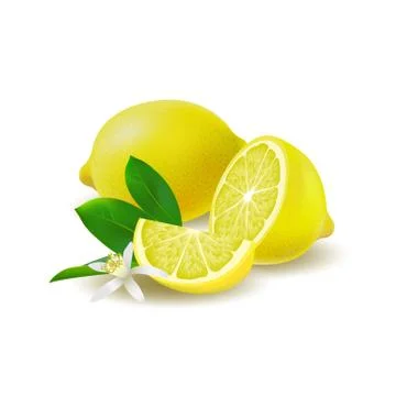 Isolated colored group of lemons, half, slice and whole juicy fruit with gree Stock Illustration