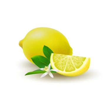 Isolated colored group of lemons, slice and whole juicy fruit with green leav Stock Illustration