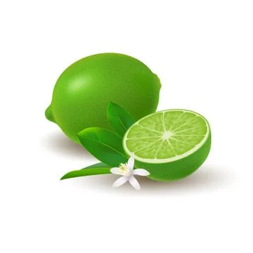 Isolated colored group of lime, half and whole juicy fruit with green leaves, Stock Illustration