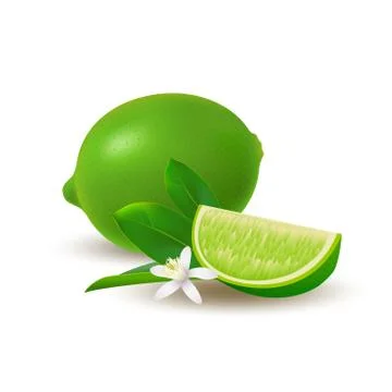 Isolated colored group of lime, slice and whole juicy fruit with green leaves Stock Illustration