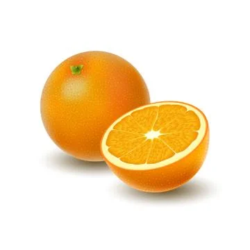 Isolated colored group of orange, half and whole juicy fruit with shadow on w Stock Illustration