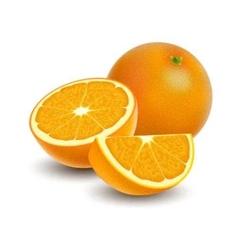 Isolated colored group of orange, slice, half and whole juicy fruit with shad Illustrazione stock