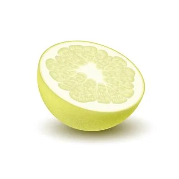 Isolated colored half of juicy yellow color pomelo with shadow on white backg Stock Illustration