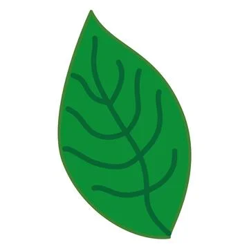 Isolated colored mint leaf sketch icon Vector Stock Illustration
