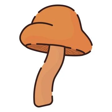 Isolated colored mushroom icon Flat design Vector Stock Illustration