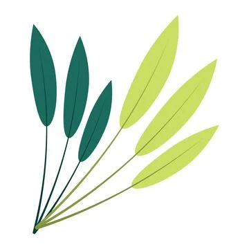 Isolated colored natural leaf icon Vector Stock Illustration