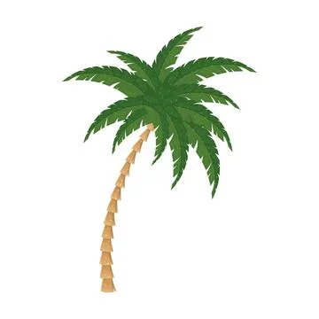 Isolated colored palm tree sketch icon Vector Stock Illustration