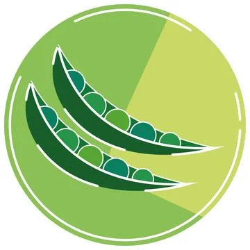 Isolated colored pea icon Flat design Vector Stock Illustration