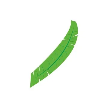 Isolated colored summer leaf sketch icon Vector Stock Illustration