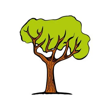 Isolated colored tree with green foliage on white background. Hand drawn. Stock Illustration