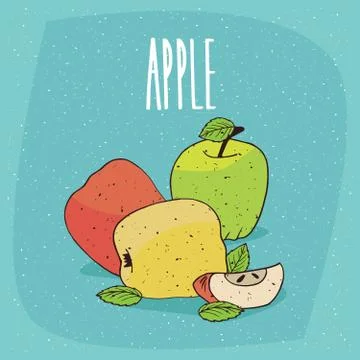Isolated colorful ripe apples with tiny leaves Stock Illustration