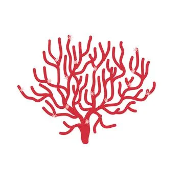 Isolated coral on white background vector illustration Stock Illustration