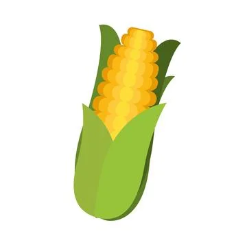 Isolated corn flat design icon Vector Stock Illustration