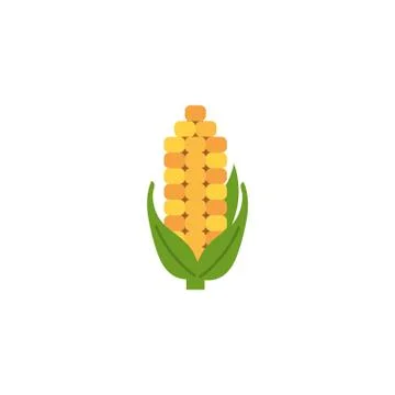 Isolated corn icon flat design Stock Illustration