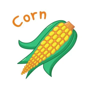 Isolated corn icon Stock Illustration