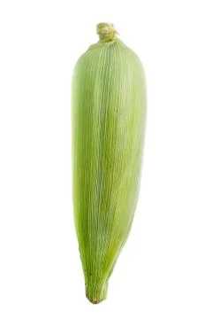 Isolated of corn Stock Photos