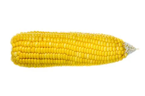 Isolated of corn Stock Photos