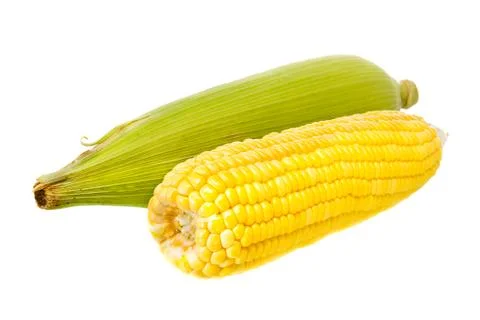 Isolated of corn Stock Photos