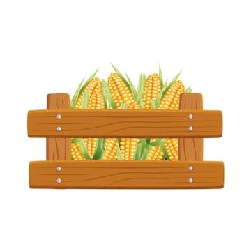 Isolated corns inside box vector design Illustrazione stock