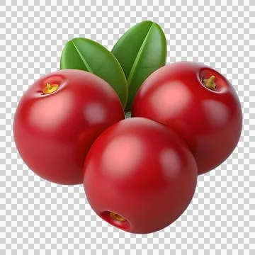 Isolated cranberries Stock Illustration