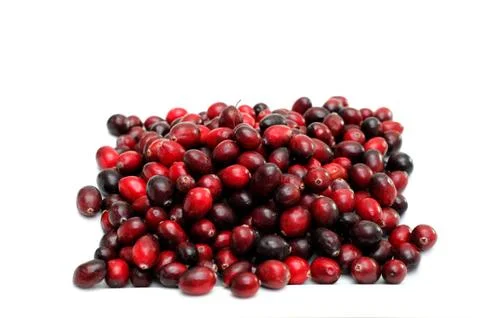 Isolated cranberries Stock Photos