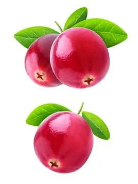 Isolated cranberries Stock Photos