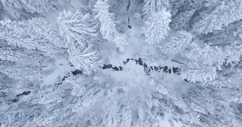 Isolated Creek in the Snow Video stock 95976070