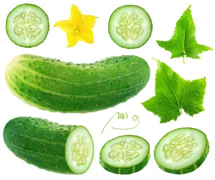 Isolated cucumber collection Stock Photos