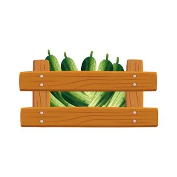 Isolated cucumbers inside box vector design Stock Illustration