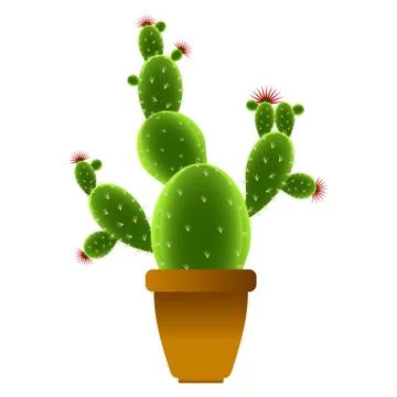 Isolated cute cactus Stock Illustration