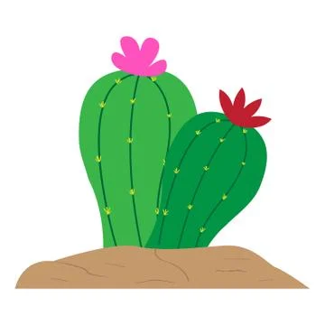 Isolated cute cactus Stock Illustration